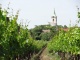 Dagmar Köstner Koestner Biowein Biobauernmarkt Freyung Dagmar Köstner Koestner Biowein Biobauernmarkt Freyung